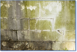 Damaged concrete block basement wall